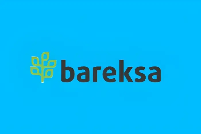 Bareksa